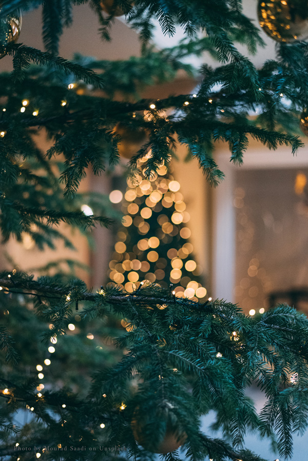 2019xmas_7.jpg